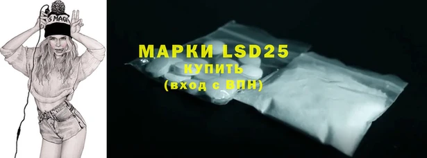 МДПВ Новозыбков