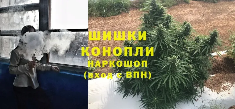 дарк нет какой сайт  Курлово  Бошки Шишки Bruce Banner  где можно купить наркотик 